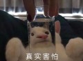 沙雕搞怪文案超长，沙雕搞怪文案超长句子