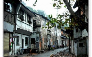 朱养心，朱养心药业