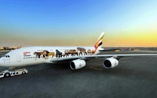 阿联酋航空恶搞视频，阿联酋航空恶搞视频大全