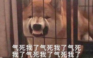 套路别人的沙雕文案搞笑，套路别人的沙雕文案搞笑图片